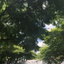 과천미래공인중개사사무소 이미지