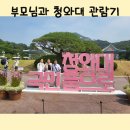 우방한의원 | 쌍용동 드림한의원)6월 6일 현충일 부모님과 청와대관람했어요^^
