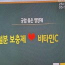들물 Daum카페