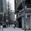 야먹자 | 삿포로 여행 : 니조시장 카이센동 맛집, 요이치야 미나미2조점 예약 후 방문 후기