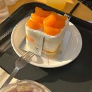 투썸데이타(주) 이미지
