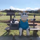 이봉목장 | 에어버기 3WAY 와이드 백팩과 함께 나들이 - 🐾 사용후기