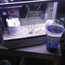 아쿠아펫 카페수족관 이미지