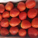 학산리농장 이미지