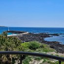 제주도게스트하우스파티바랑쉬성산점 이미지