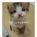 친구와 마음을 나누어요 이미지