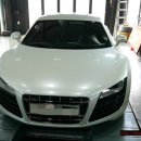 아이언게러지 이미지