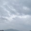 경기 안성 용설 낚시터 출조 후기 용설지 붕어좌대낚시터 조황 및 시설 정보공유 기대보다 아쉬웠던...