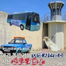 품이네애견방 | [익산 가볼만한곳] 애견동반 가능!이색 체험 코스로 강추 익산 교도소 세트장 후기💫
