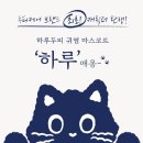 하루두피 둔산점
