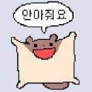 애빈 이미지