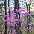 주정차단속-131 이미지