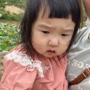 자연생활교육원