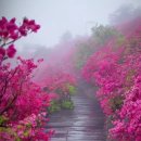 한솔 메디케어 이미지