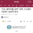 심텍 이미지
