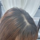 넬엔모리 | 산척동 미용실 넬엔모리 염색후기 :)