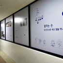 강릉문화재단 이미지