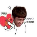 포포 이미지