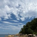 고성군청 본관 화장실 | 고성 스노클링 포인트 후기ㅣ가진해수욕장