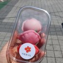 달콩쌤디저트