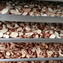 신두리농장 이미지