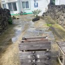 신창 그리고 제주 이미지