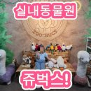 인천 실내 동물원 &lt;쥬벅스&gt;후기!!