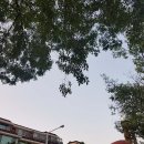 닥밭공원 화장실 이미지