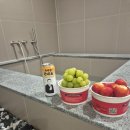 동백세탁 | 천안 호텔 추천 프롬에이치 동백호텔 BY KWON 천안 성정 호캉스 후기