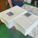 두리수산 왕새우 직판장 | [함평 맛집] 팔복수산 | 왕새우 직판장, 생새우 포장 소금구이 후기