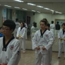 기무태권도 이미지