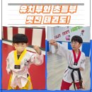 태권박사&스포츠짐 도장 | 미진관 태권도 수업 후기｜기본서기·지르기·막기 훈련👊
