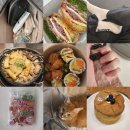 세상 편하개 | 1. Sept 1st week 점심 출근, 운동, 네일샵, 최애 곱창집, 킨조젤리, 오토김밥, 니뽕내뽕, 블루베리 부생카