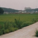 화곡 교차로 이미지