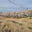 지리산둘레길 1코스 이미지