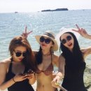 탐여행사 이미지