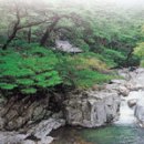 청산인쇄