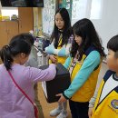 영천초교 이미지