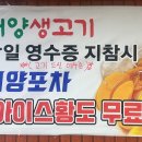 태양생고기 이미지