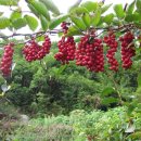 박종훈농장 이미지