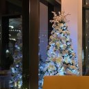 로비바(Lobby bar) | 괌 신혼여행 2일차 밤 _ 두짓타니리조트 라운지바 lobby bar , 타시그릴(tasi grill) 이용 후기