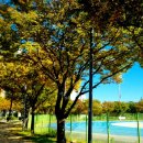 율하체육공원 테니스장 내 이미지