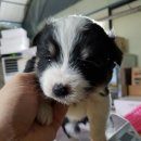 북신지구대 이미지