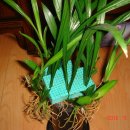 길상초등학교 이미지