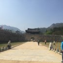 반딧불STUDY