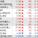 인터내셔널 티 컴퍼니 이미지