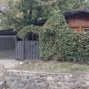 안데스 - 북구 일곡택지로 87 | 파타고니아 7개 호수 드라이브 & 산 마르틴 데 로스 안데스 숨은 명소 방문 후기