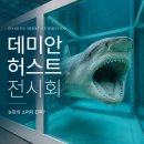 영부교통노동조합 | 데미안허스트 소머리 진짜 가짜? (feat. 진실은 없어, 그러나 모든 것은 가능하지 전시회 &amp; 상어)