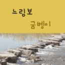 고창굼벵이
