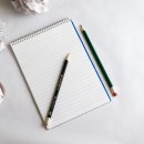 인포디언스비즈니스연구소 네이버블로그